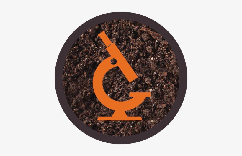 50 Per Soil Sample - Icon, transparent png #4016516