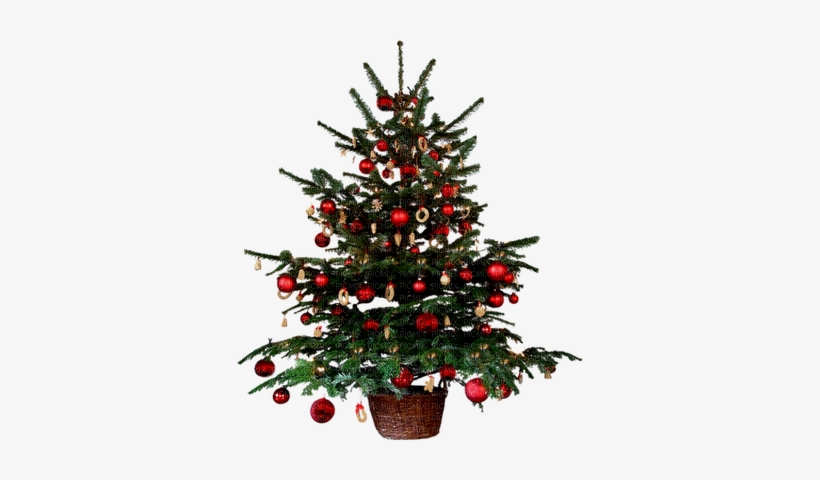 Arvore De Natal - Small Christmas Tree Png, transparent png #4016809