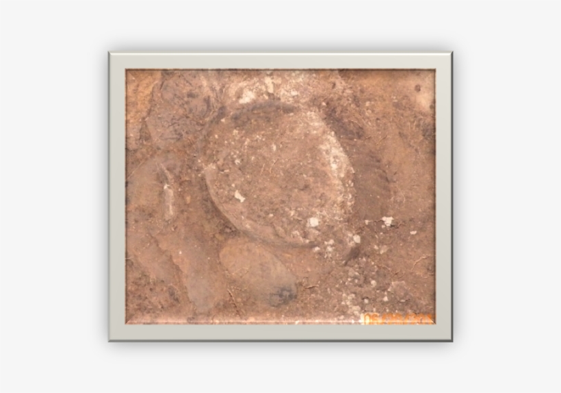 The - Motiram Bhatta, transparent png #4016917