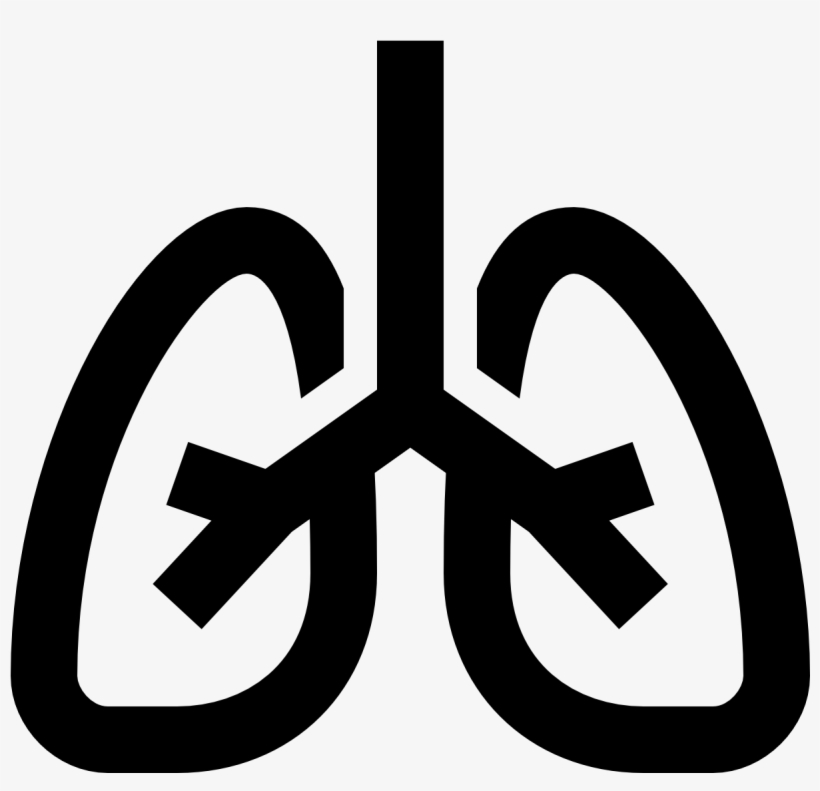Lungs Icon - Lungs Symbol, transparent png #4017016