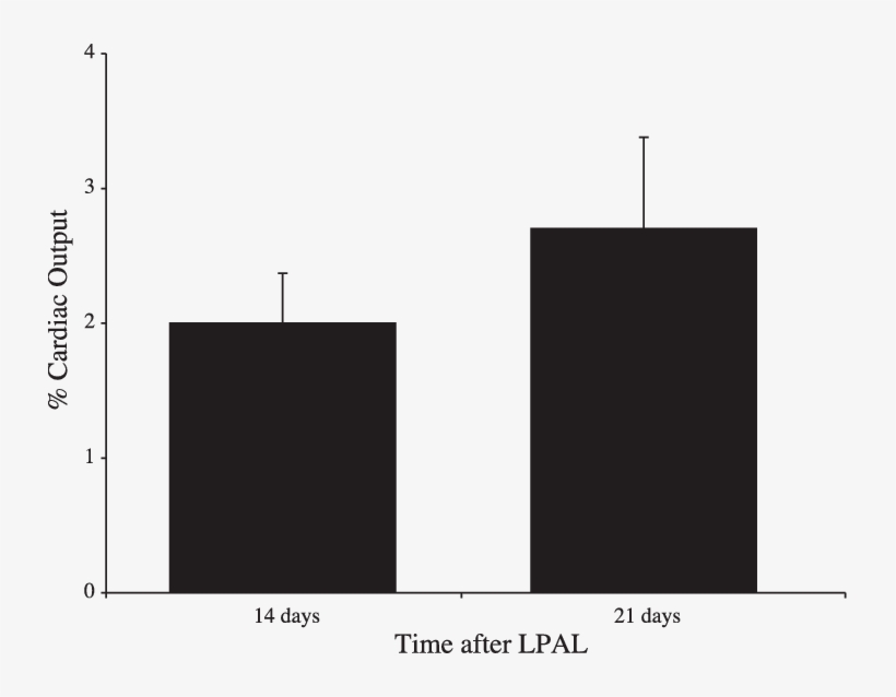 Systemic Perfusion Of The Left Lung As Percent Cardiac - Exercise, transparent png #4017369