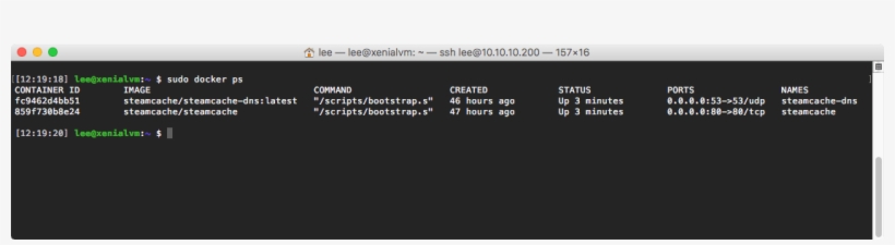 Checking On Our Running Docker Containers After Reboot - Docker, transparent png #4017470