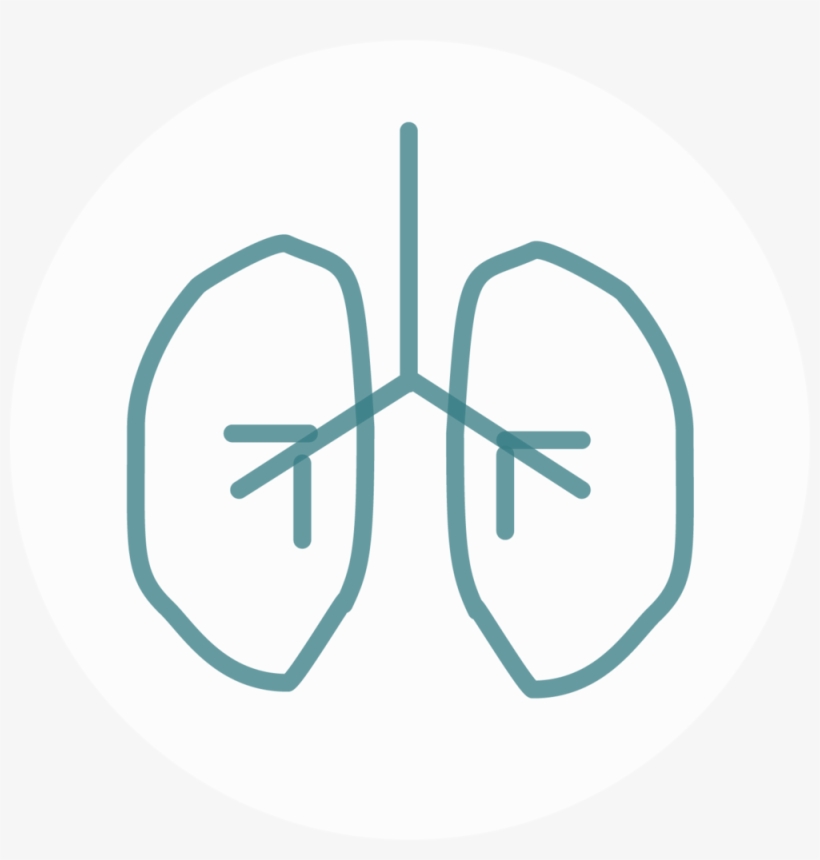 Lung Tealonwhite - El Paso Pulmonary Association, transparent png #4017556