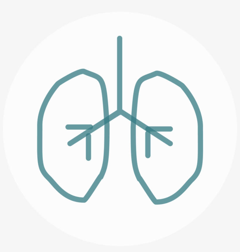 Lung Tealonwhite - El Paso Pulmonary Association, transparent png #4017556