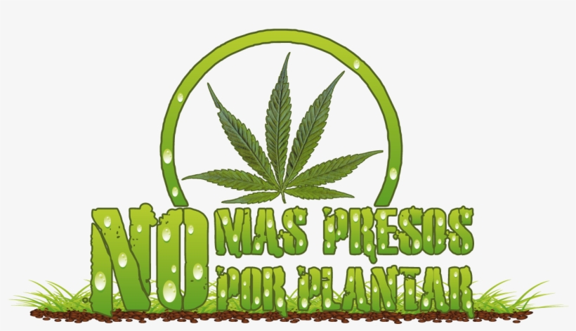 Logo Marcha Nmppp 2012 Oficial By Alexissacateunomarambio - Cannabis, transparent png #4018999