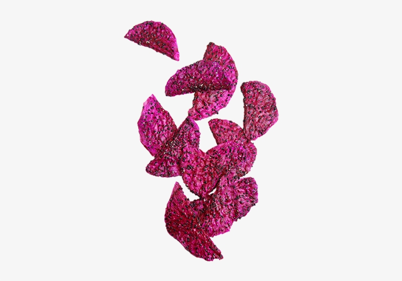 Crunchy Dried Dragon Fruit - Purple Dragon Fruit Slices, transparent png #4019093