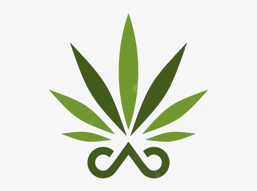 Bcch - Illustration, transparent png #4019172