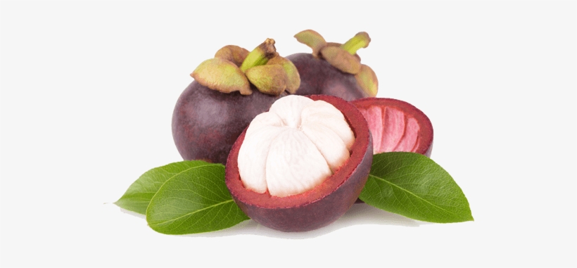 Thai Fresh Mangosteen - Мангостин Png, transparent png #4019268