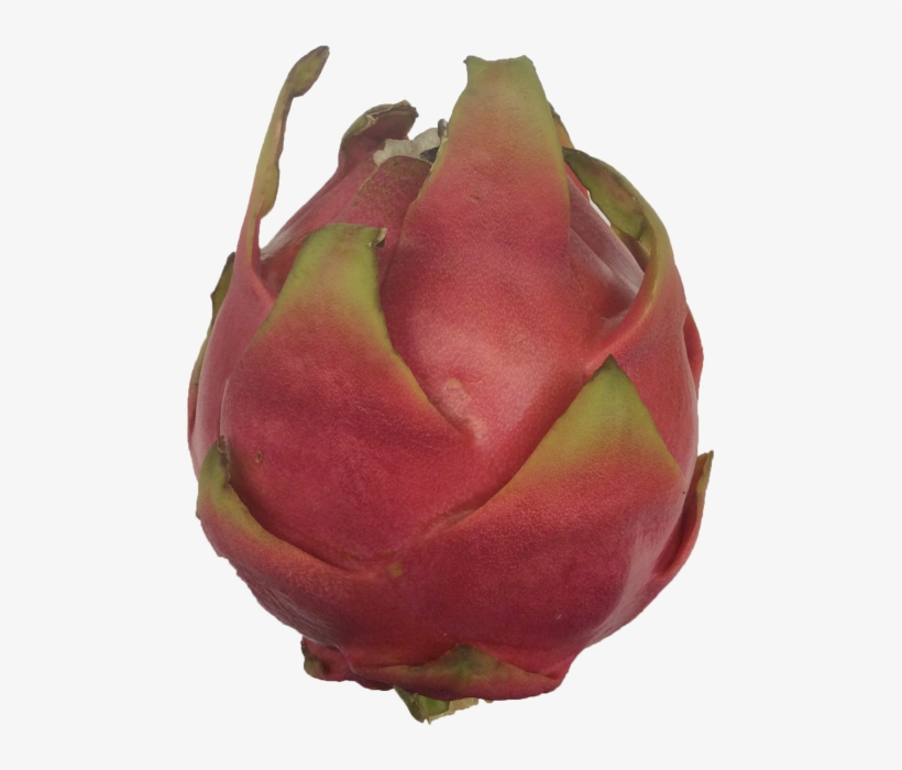 More Views - Pitaya, transparent png #4019552