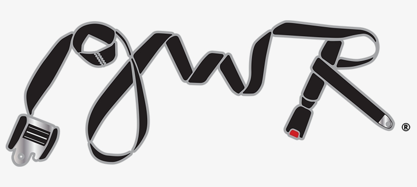 Seat Belt, transparent png #4019556