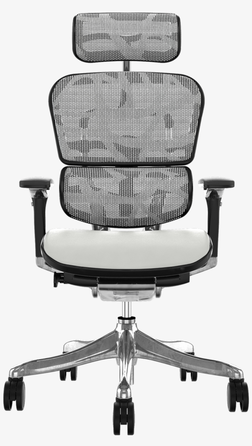 Full Size Of Swivel Office Chair Without Wheels Home - Ergohuman Plus Leather Brown, transparent png #4019581