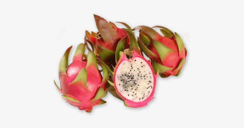 Dragon Fruit - Dragon, transparent png #4019899