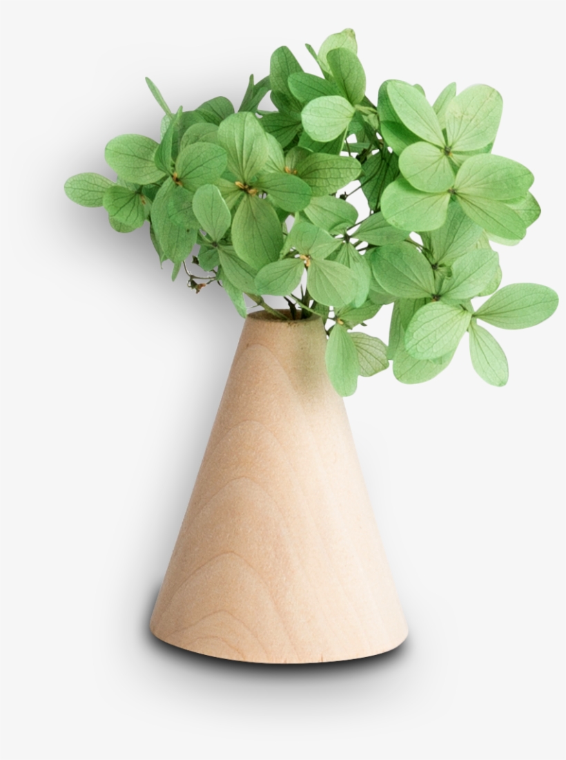 Get Started - Flowerpot, transparent png #4021022
