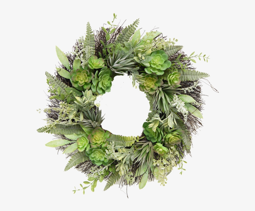 Succulent Grass Wreath - Wreath, transparent png #4021132