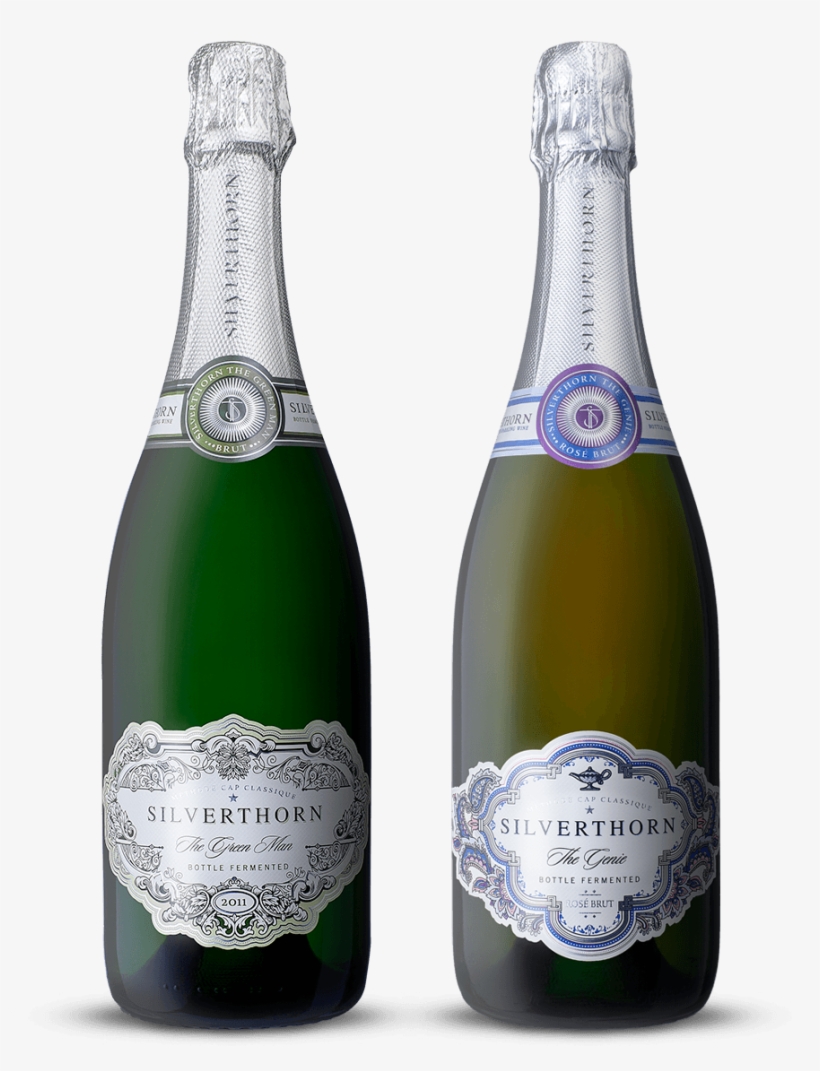 Silverthorn Mcc, transparent png #4021549