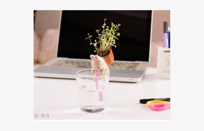 9 Pig Interest Ofiice Desk Green Planting Gerdening - 150105, transparent png #4021599