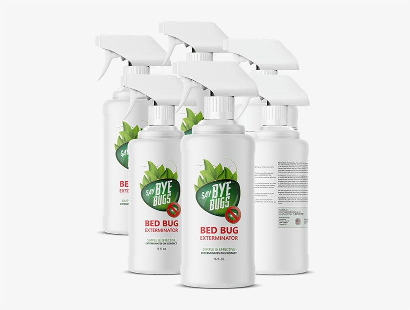 6 16 Oz X2 - Plastic Bottle, transparent png #4021652