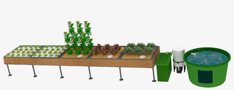 Click - Home Aquaponics Systems, transparent png #4022056