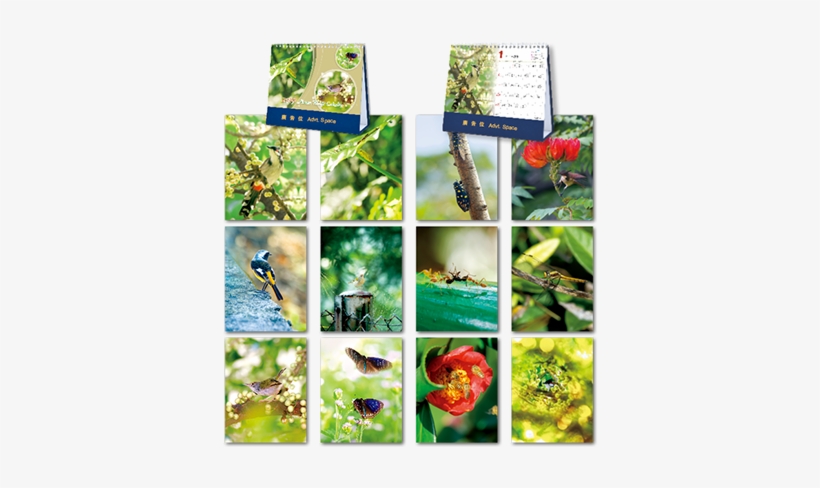 Dmc901world Sceneries 7 Sheets Desk Monthly Calendar - Collage, transparent png #4022306