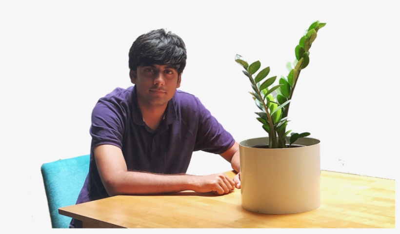 Zoho Sheet - Houseplant, transparent png #4022390