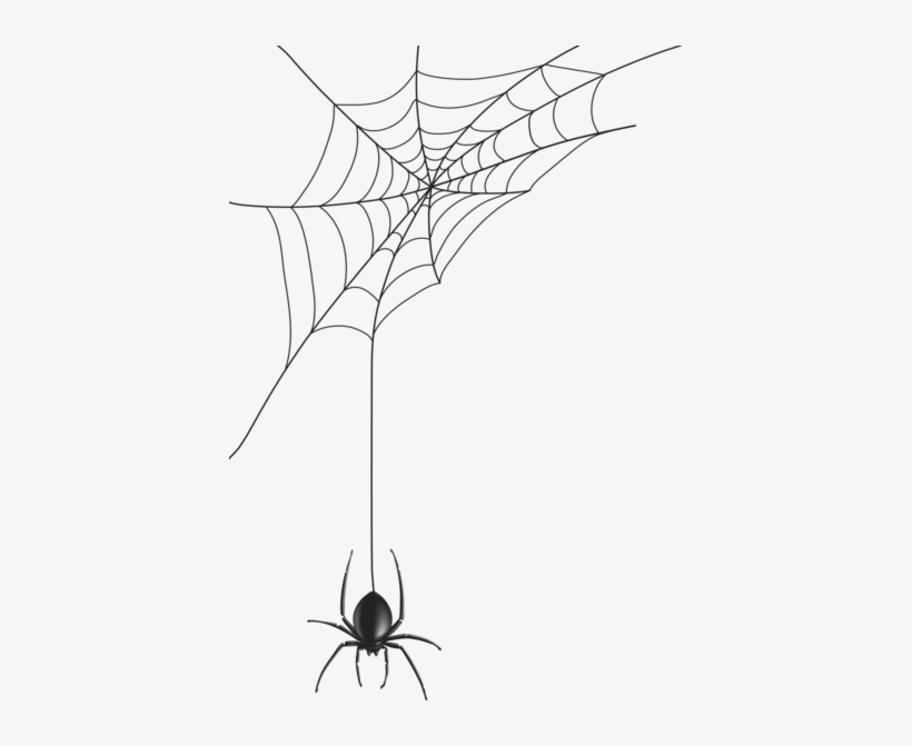 0, - Spider Web Vector, transparent png #4022857