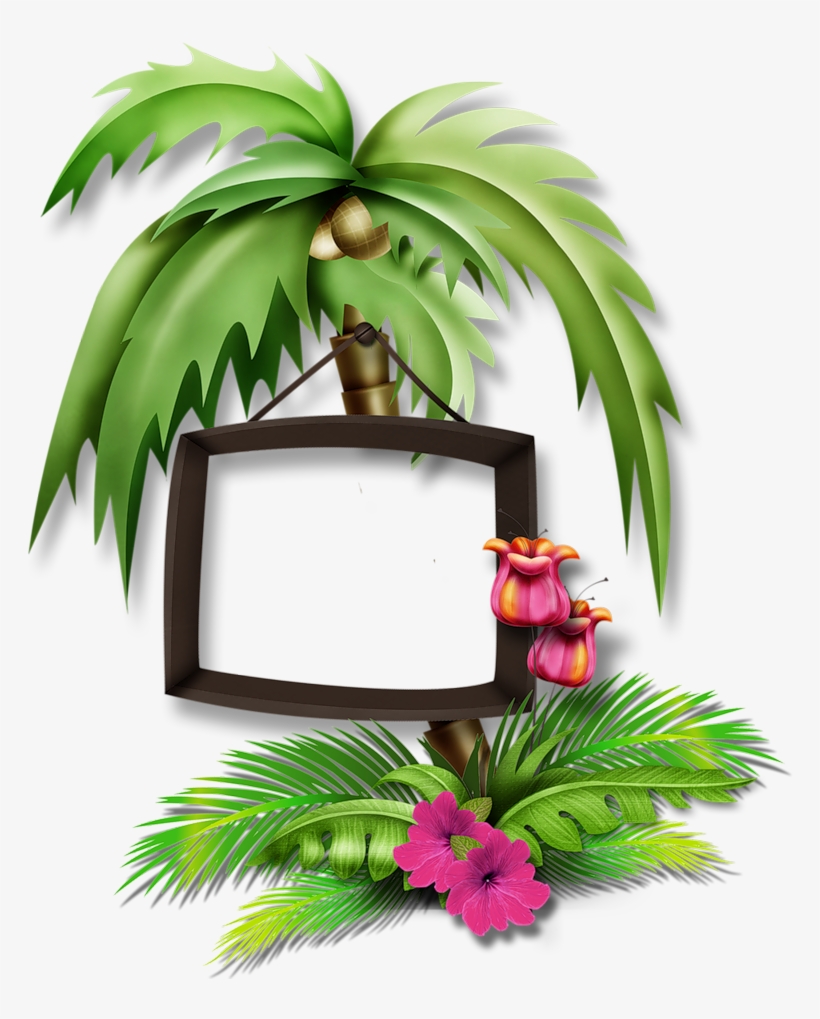 1000 Images About Tropical♒beach⏅water Art Clipartⓟhoto - Portable Network Graphics, transparent png #4023453