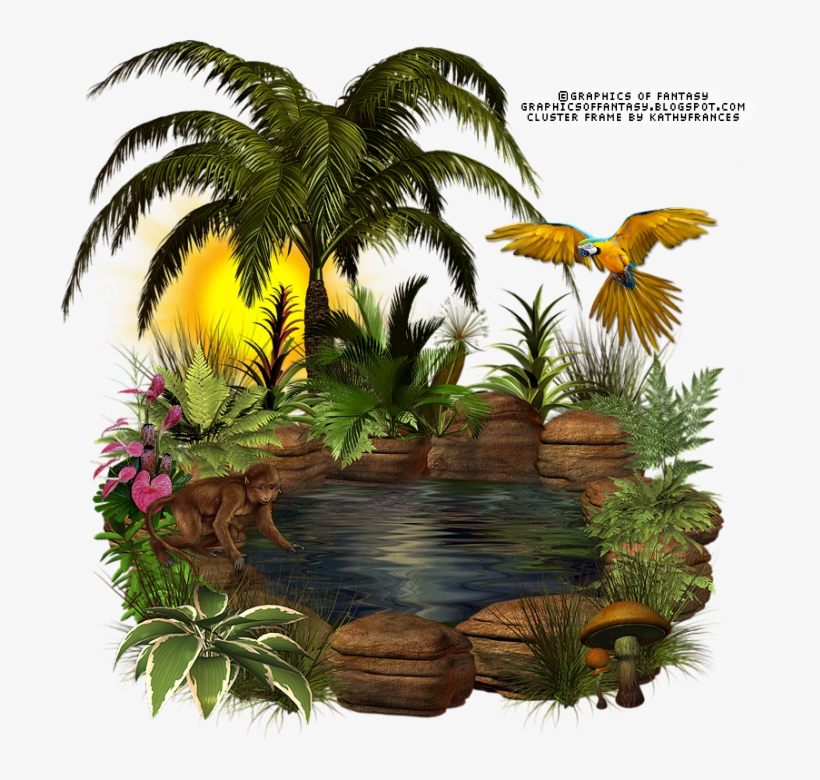 Tropical Beauty Cluster Frame - Пруд Пнг, transparent png #4023511
