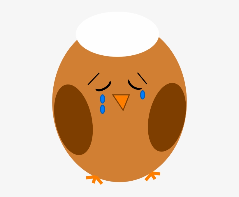 Owl Clipart Face - Crying Owl Clipart, transparent png #4023931