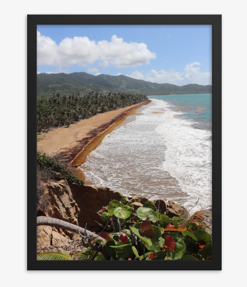 A Vertically Rectangular Picture Of Paradise With A - Beach, transparent png #4023936