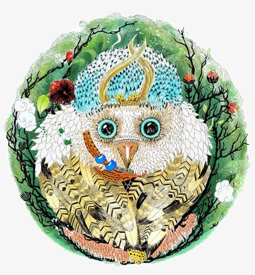 Owl, transparent png #4023953