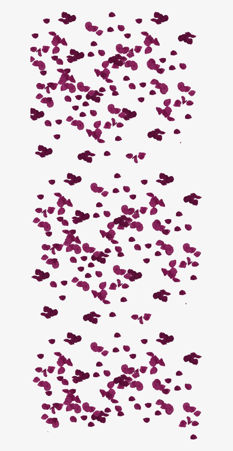 607 × 2000 In Petalos, transparent png #4024184