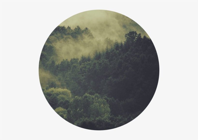 Trees - Hello October 2016 Hd, transparent png #4024591