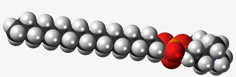 Perifosine Zwitterion 3d Spacefill - Space Filling Model Of Phospholipide, transparent png #4024634