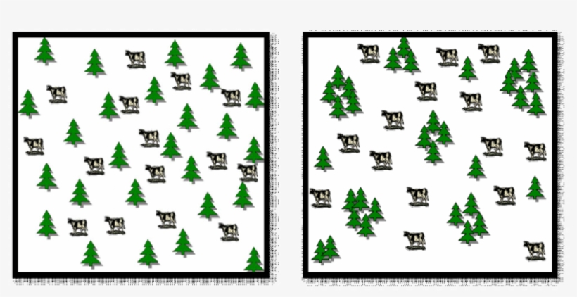 Grouped Trees - Fig - 3 - Trees In - Tree, transparent png #4024720
