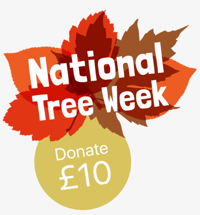 City Of Trees 2017, transparent png #4024976