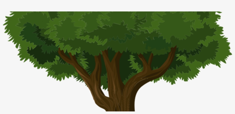 Trees And Packaging - Big Tree Logo, transparent png #4025246