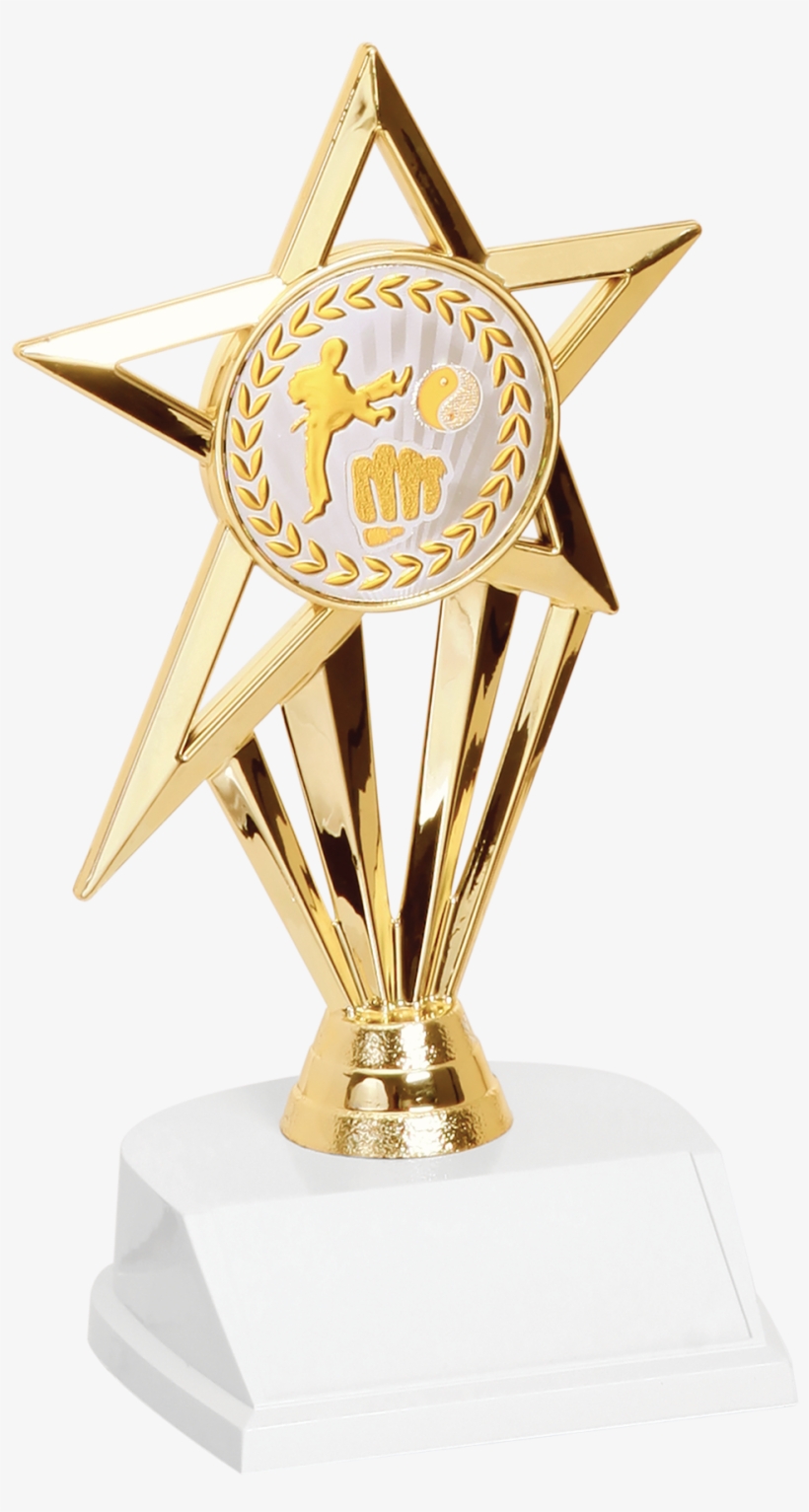 Martial Arts Star Trophy - Trophy, transparent png #4025270