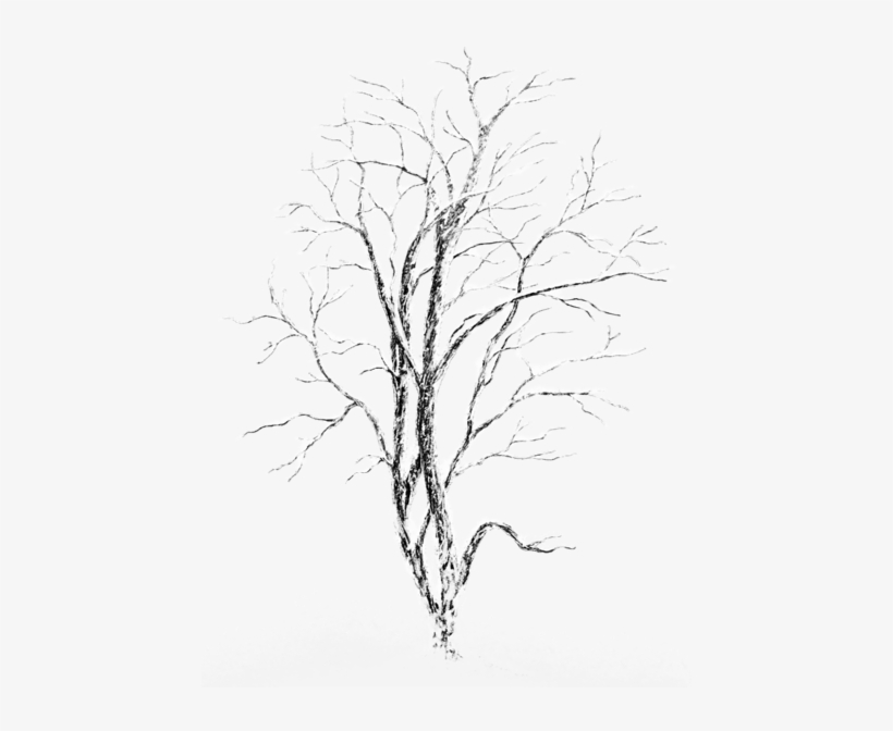 Winter Snowy Tree Png Picture - Cafepress Sic L Cutting Board 820 H F Square Sticker, transparent png #4025344