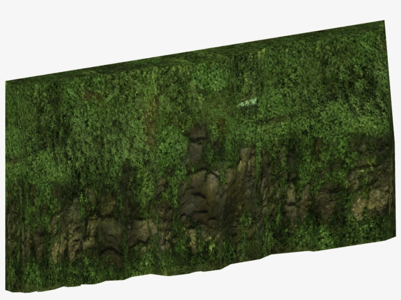 Tropical Background, transparent png #4025487