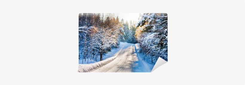 Small Country Road In Winter With Sunshine On Snowy - Hydra International Ltd Anti-icing Snow Melting Hydra, transparent png #4025705