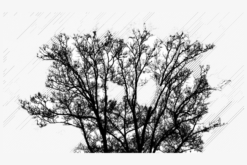 Monochrome, transparent png #4025750