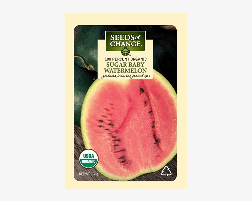 Organic Sugar Baby Watermelon Seeds - Seeds Of Change 21076 Organic Zesty Cln Quinoa Blend, transparent png #4026023