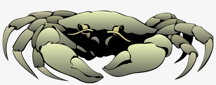 Crab 01 - Dutch Harbor King Crab Mug, transparent png #4026070