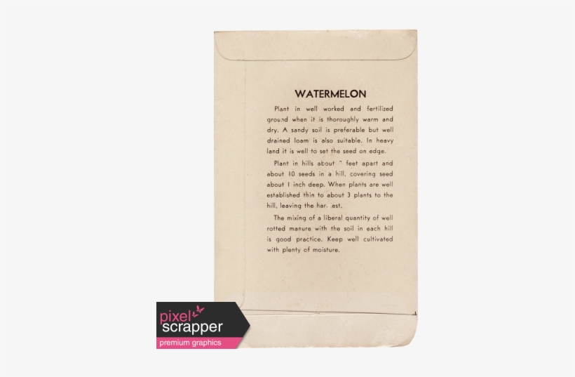 Slice Of Summer - Document, transparent png #4026591