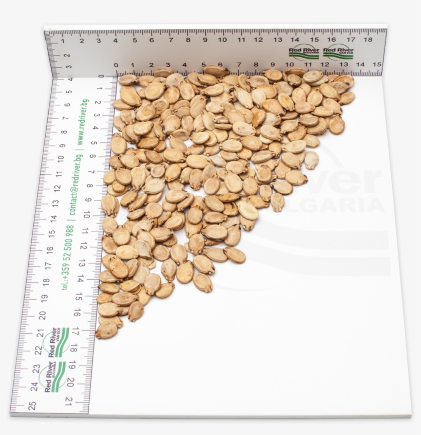 Watermelon Seeds Gold - Seed, transparent png #4026622
