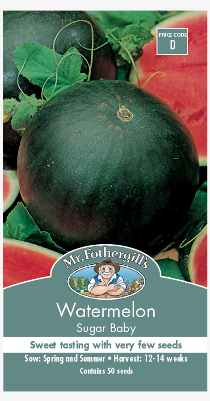Mr Fothergill's Sugar Baby Water Melon Fruit Seed - Mcgregor's Baby Sugar Watermelon Seeds, transparent png #4026765