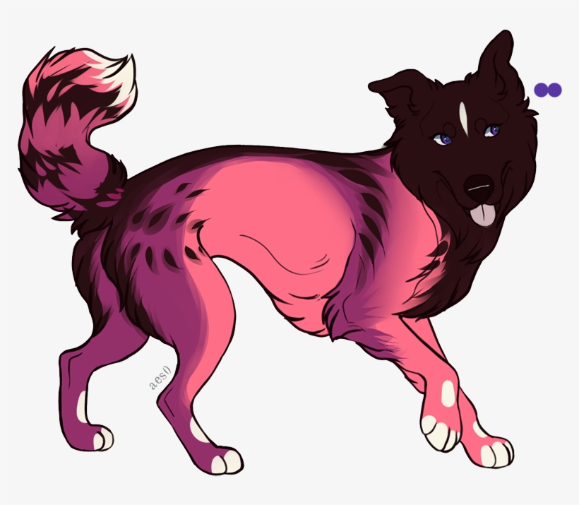 Picture - Dog Catches Something, transparent png #4026898