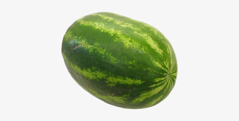 Watermelon Hybrids - Watermelon Transparent Background, transparent png #4026923