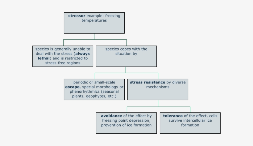 Plants And Climatic Stress - Esquema Del Estres, transparent png #4027328