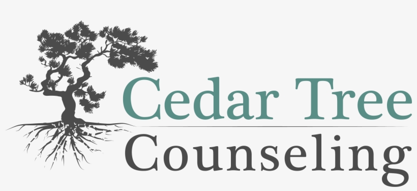 Cedar Tree Counseling, Ltd - Carpe Diem Queen Duvet, transparent png #4027582